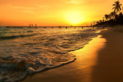 Fototapeta Morze Karaibskie zachód słońca na plaży z palmami.